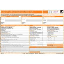 Gas Safety Inspection Form CP42