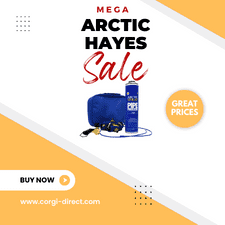 MEGA ARCTIC HAYES SALE