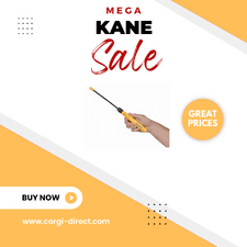 MEGA KANE SALE